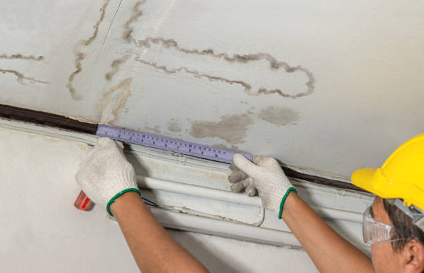 Reliable Water Damage contractor in Perrin, TX by Water Damage Irwin